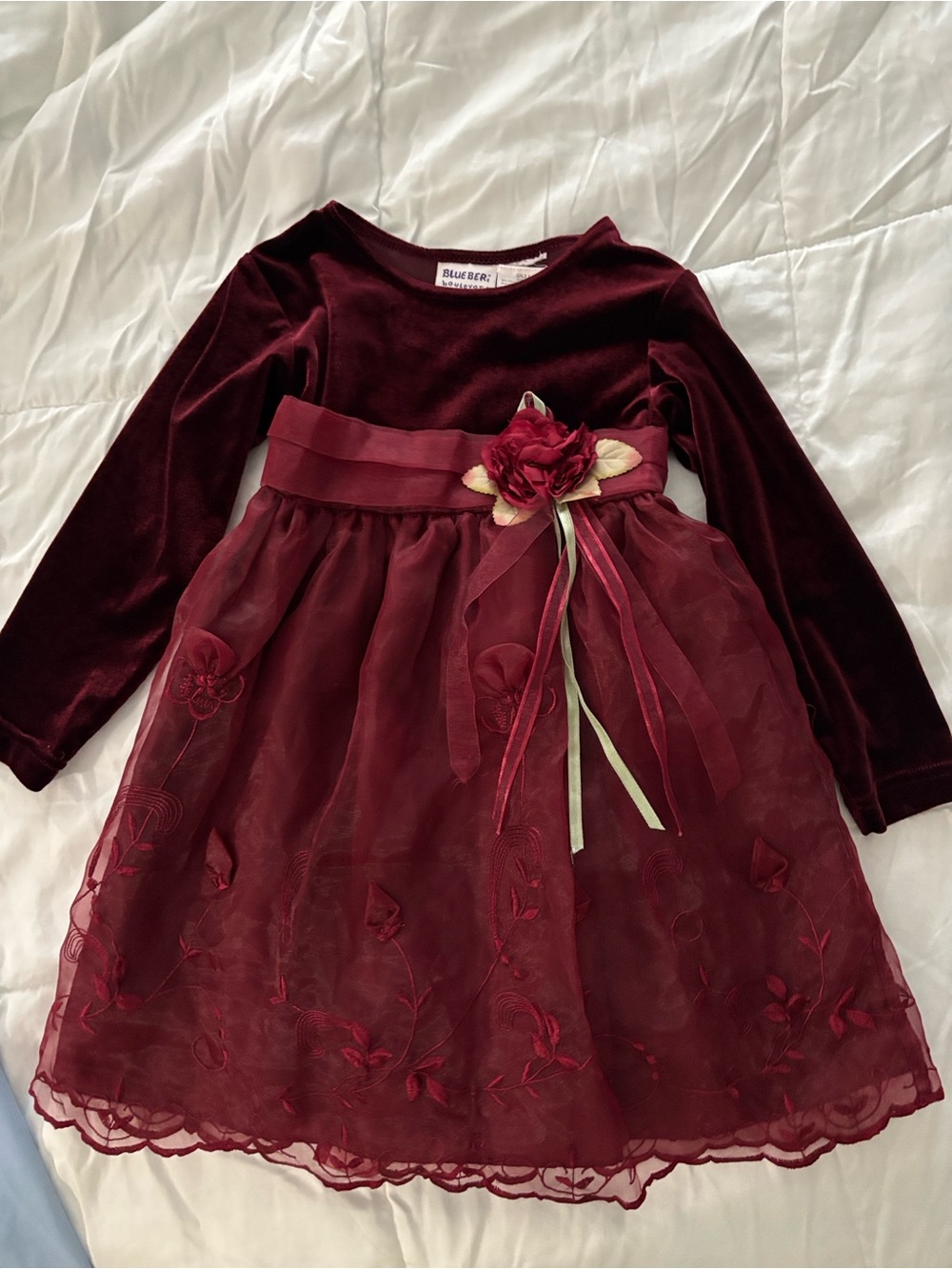 Blueberi Boulevard Girls' Burgundy Velvet & Embroidered Tulle Dress